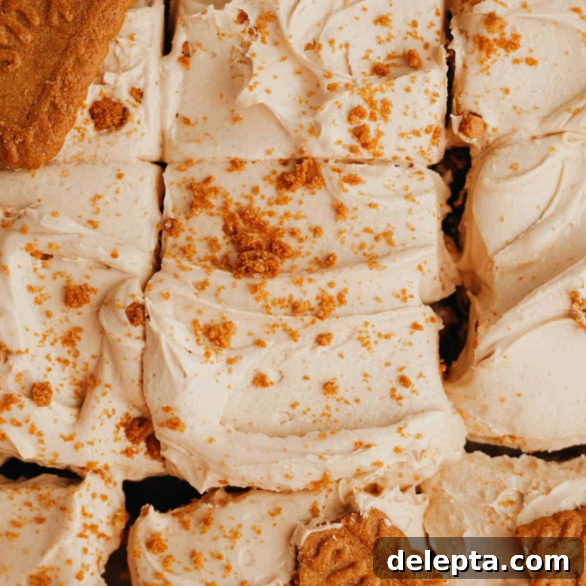 Dreamy Biscoff Buttercream Just 5 Ingredients 1 featured 10936