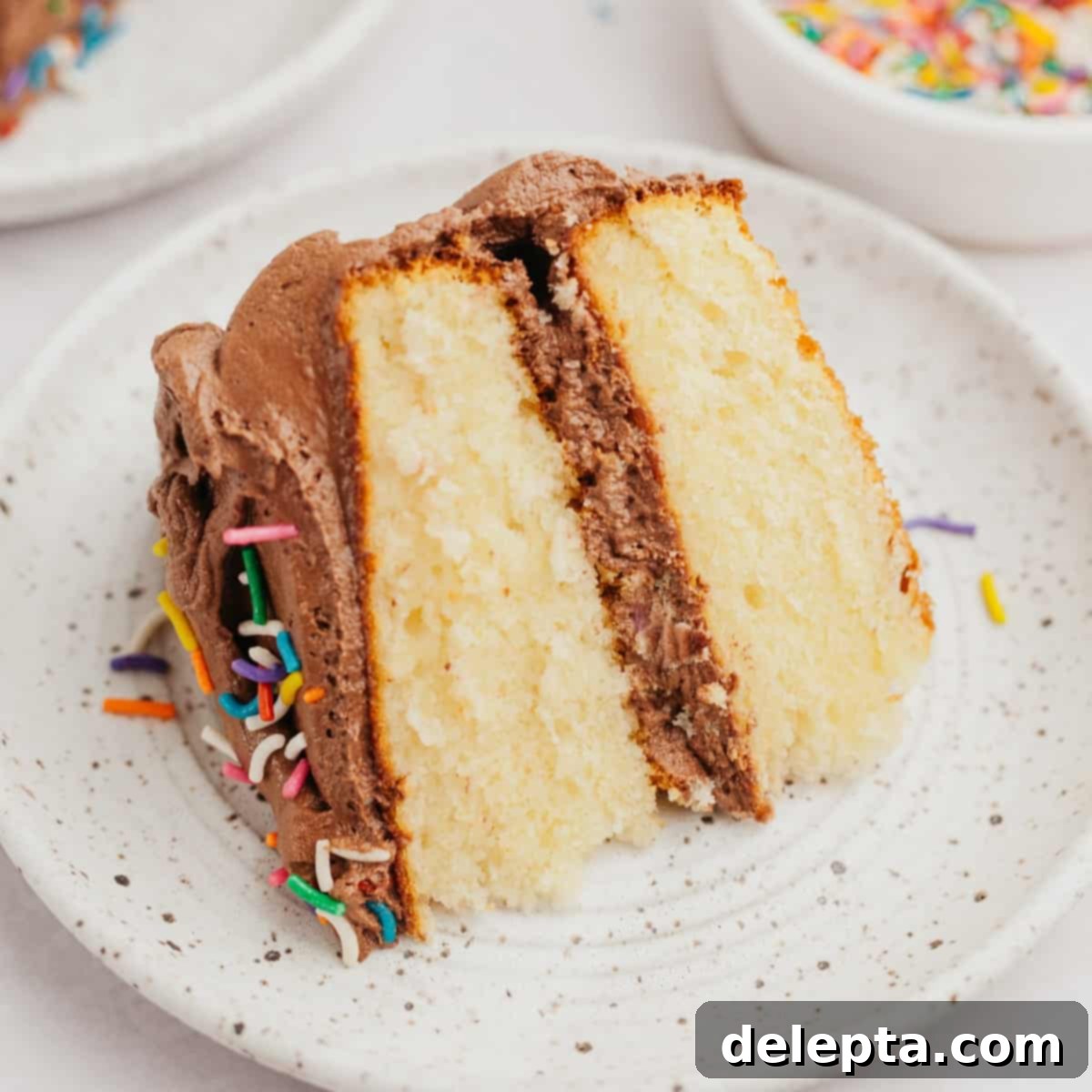 Golden Vanilla Treat with Chocolate Bliss 1 featured 11037
