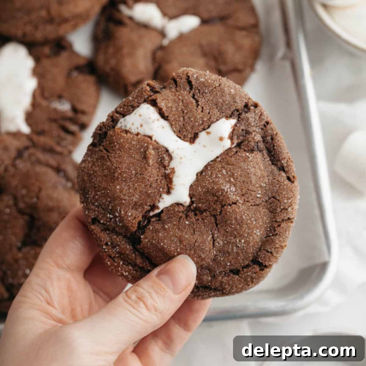 Gooey Chocolate Marshmallow Cookies 1 featured 11152