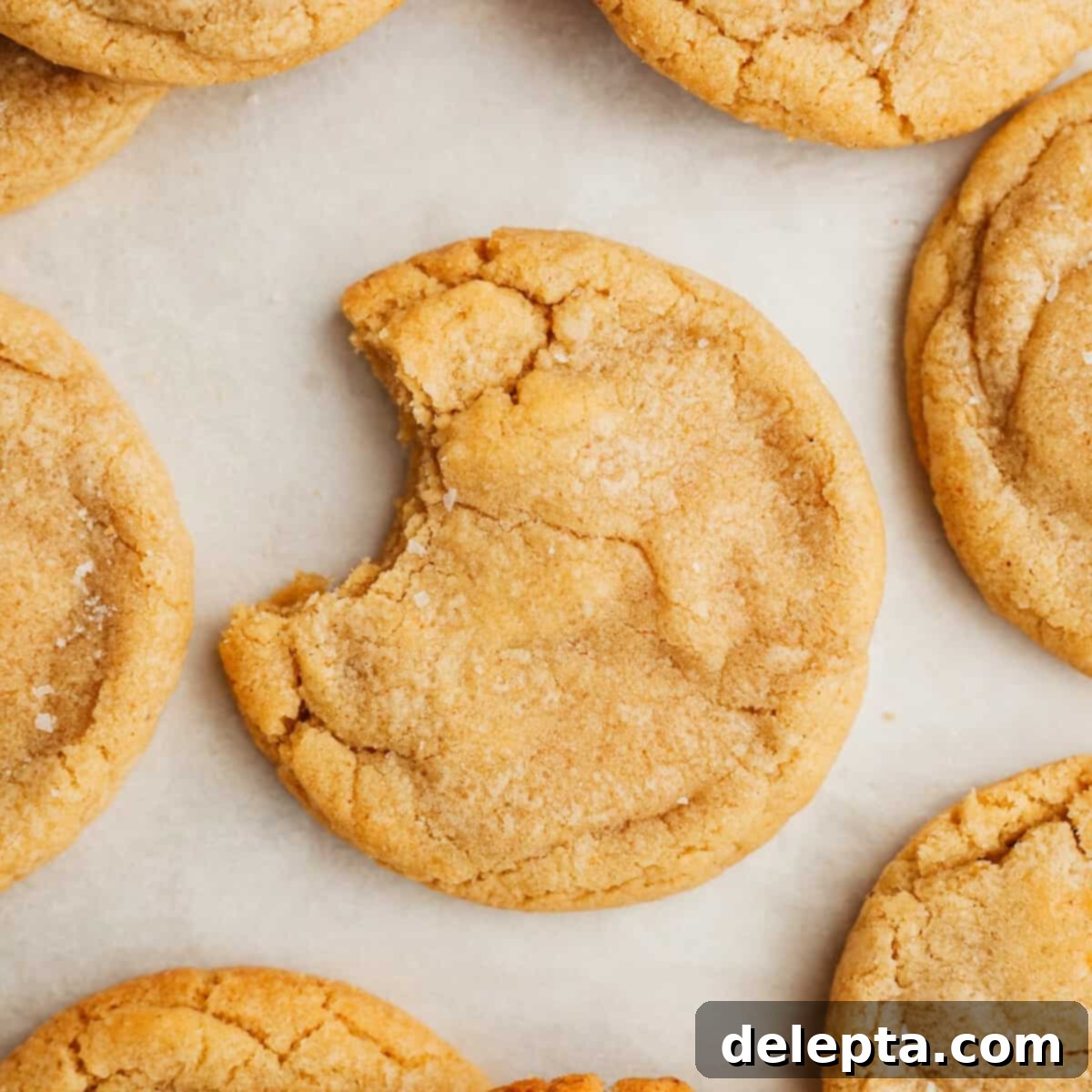 Velvet Chocolate Cookies 69 featured 11191