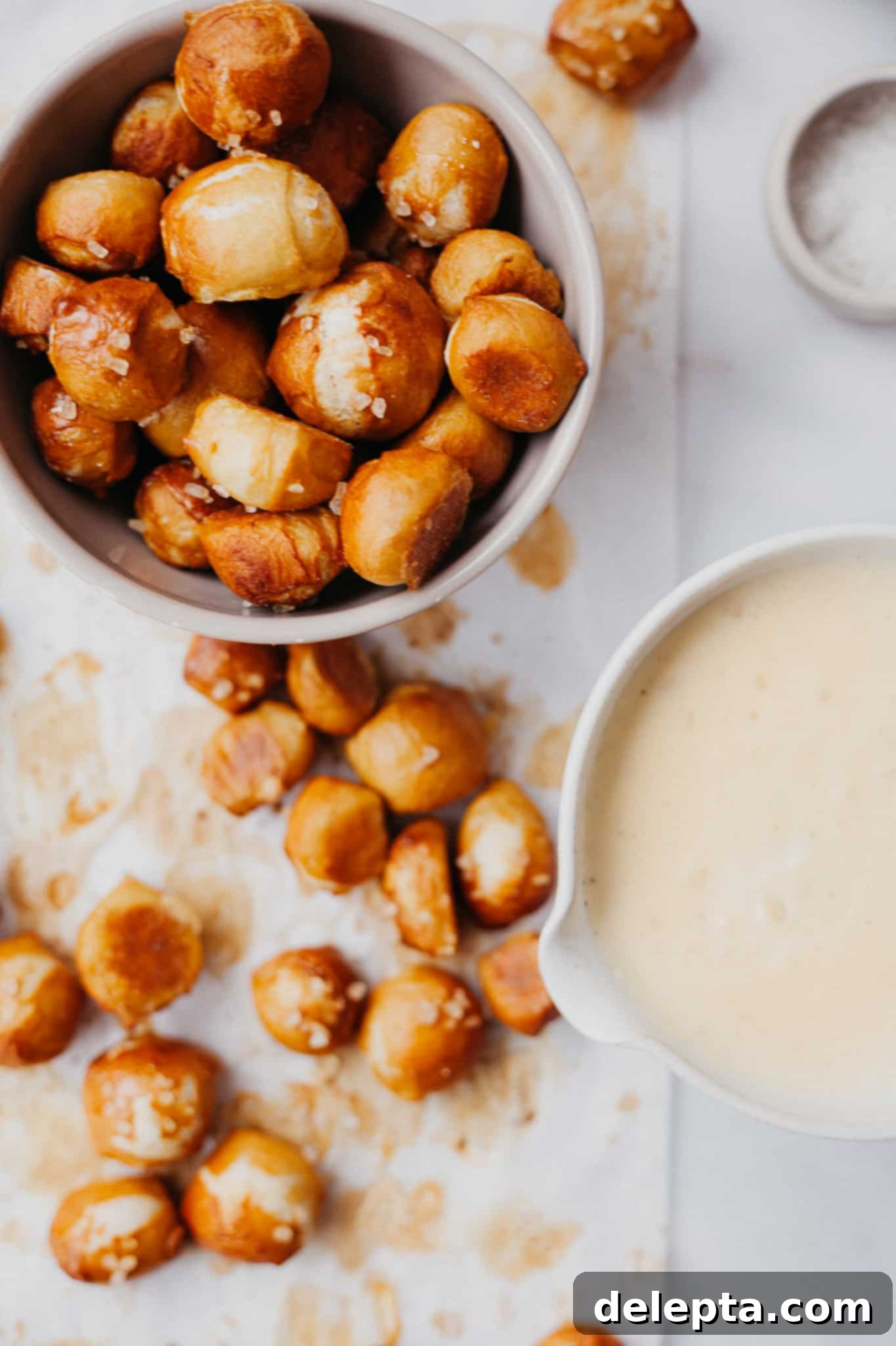 Irresistible Pretzel Bites and Cheesy Dip 1 featured 1455