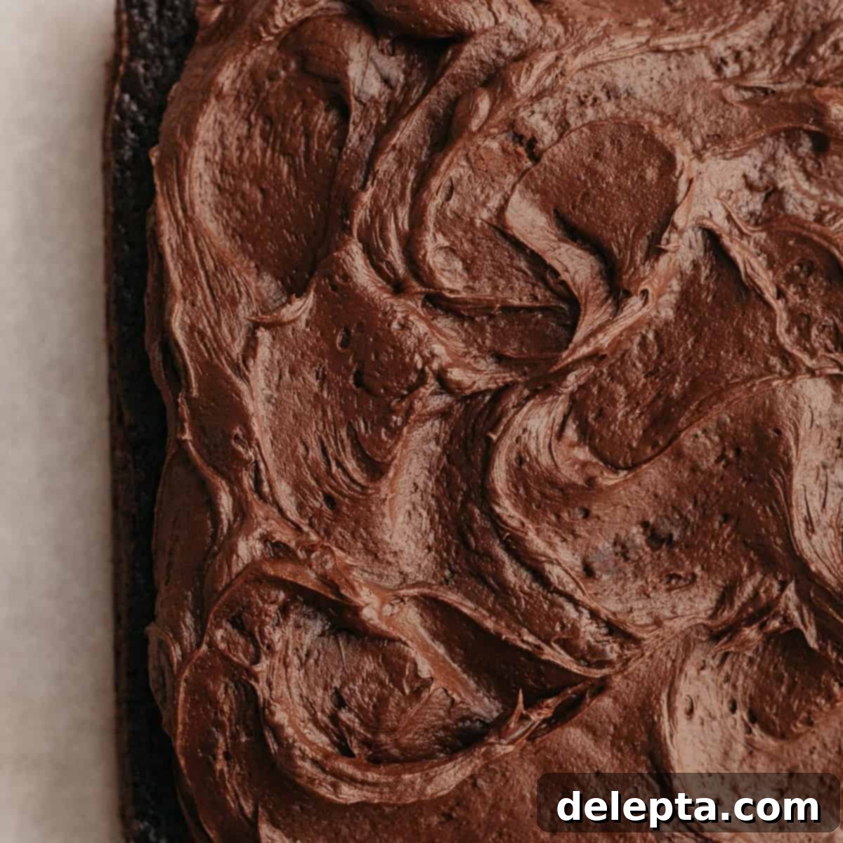 Fudgy Chocolate Frosting The Sour Cream Secret 1 featured 15276