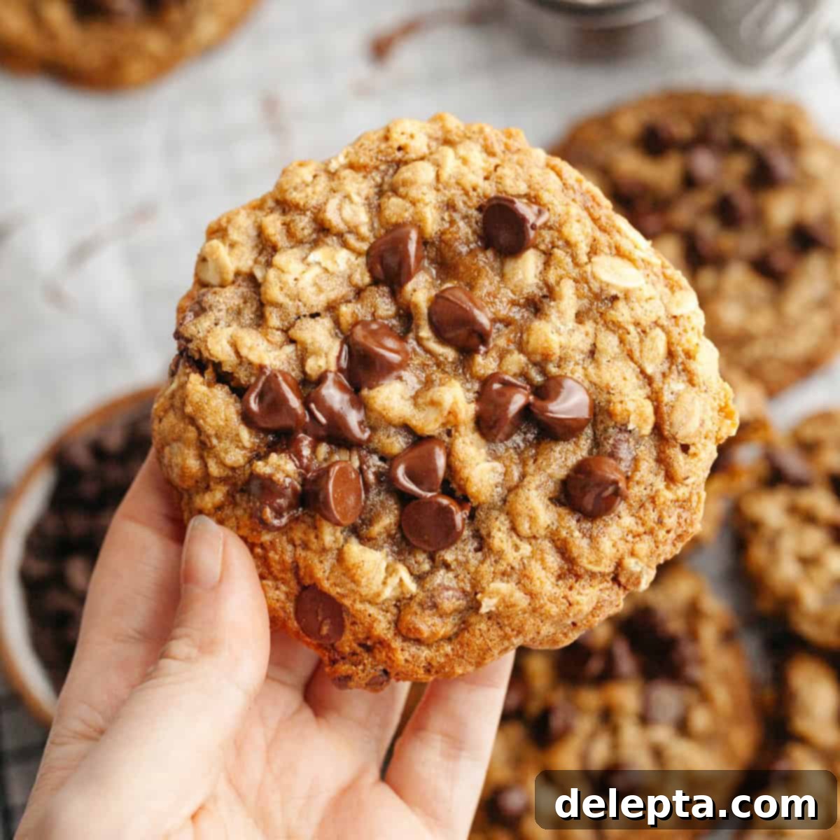 Irresistible Chewy Brown Butter Oatmeal Chocolate Chip Cookies 1 featured 16790