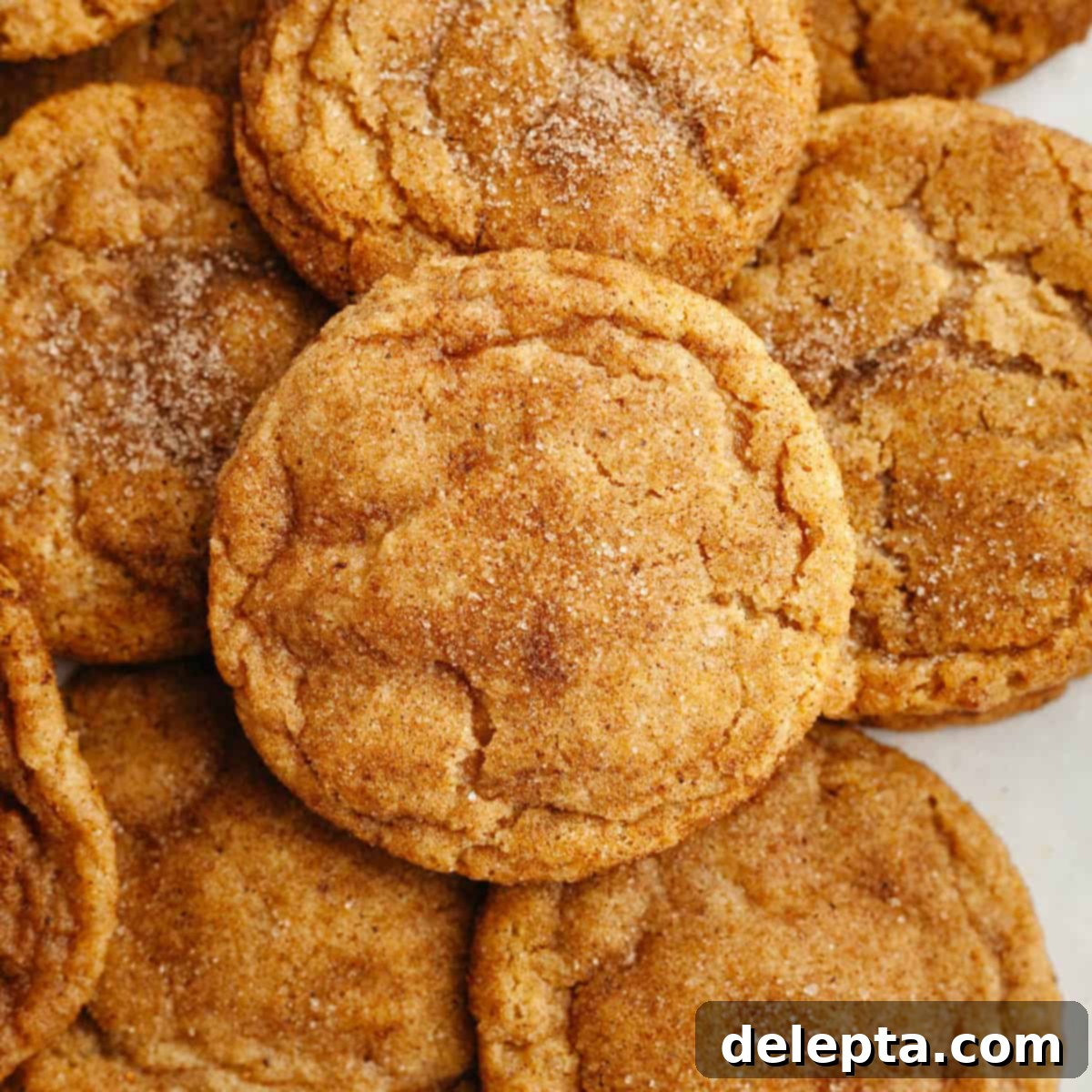 Ultimate Soft and Chewy Pumpkin Cookies 1 featured 16997