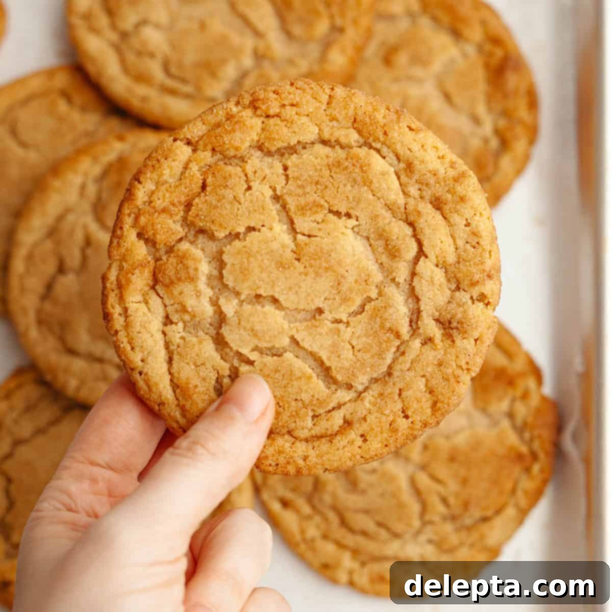 Peanut Butter Snickerdoodle Bliss 1 featured 17890