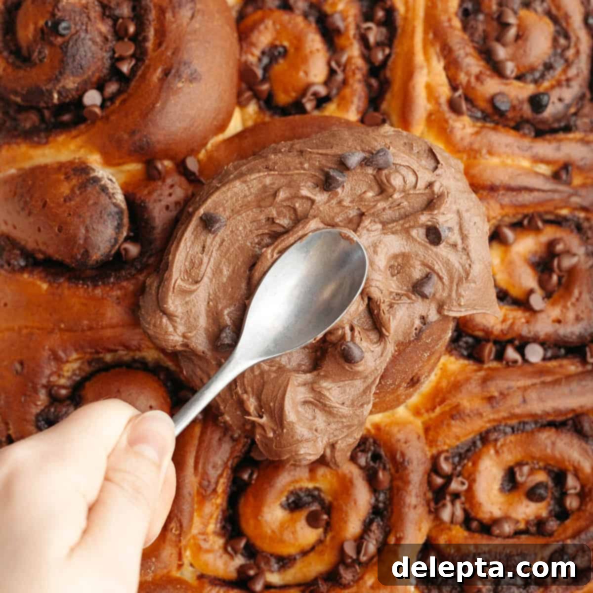 Decadent Double Chocolate Cinnamon Swirls 1 featured 18155