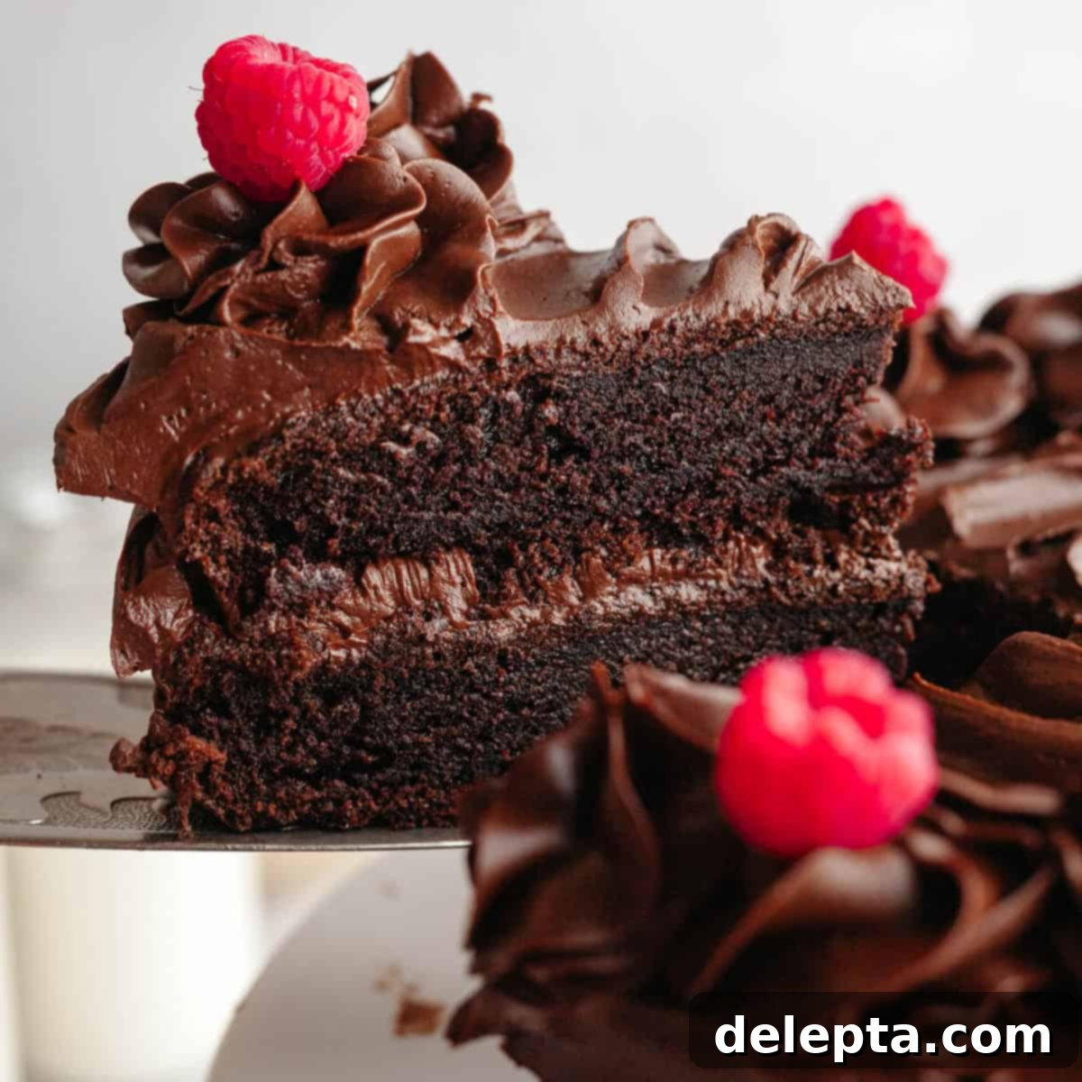 Moist and Easy Chocolate Cake with Decadent Chocolate Ganache 8 featured 18246