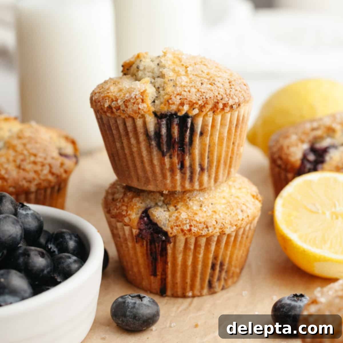 Sunny Lemon Blueberry Poppy Seed Muffins One Bowl Delight 1 featured 19547