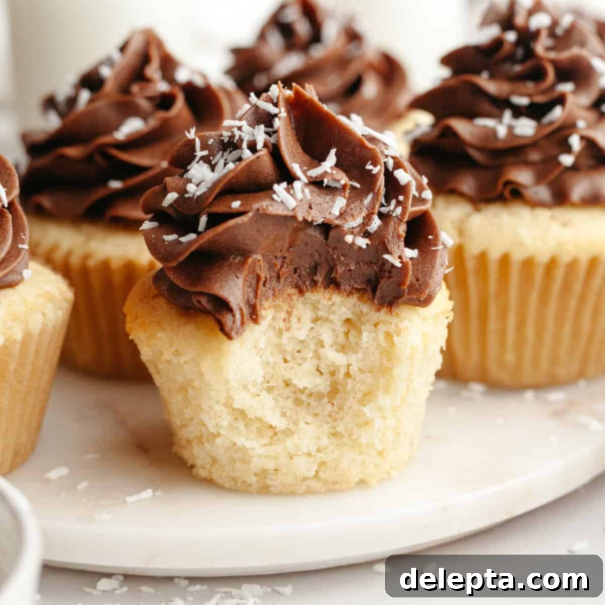 Double Chocolate Coconut Indulgence 1 featured 19585