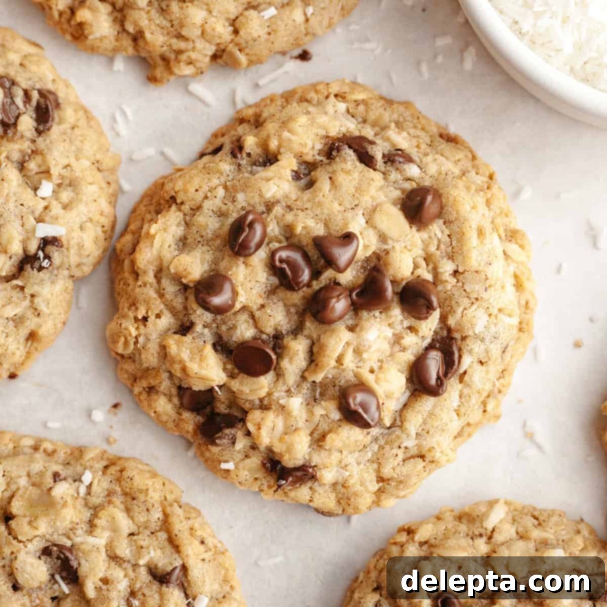 Brown Butter Oatmeal Cookies with Chocolate Chips and Coconut 1 featured 19656