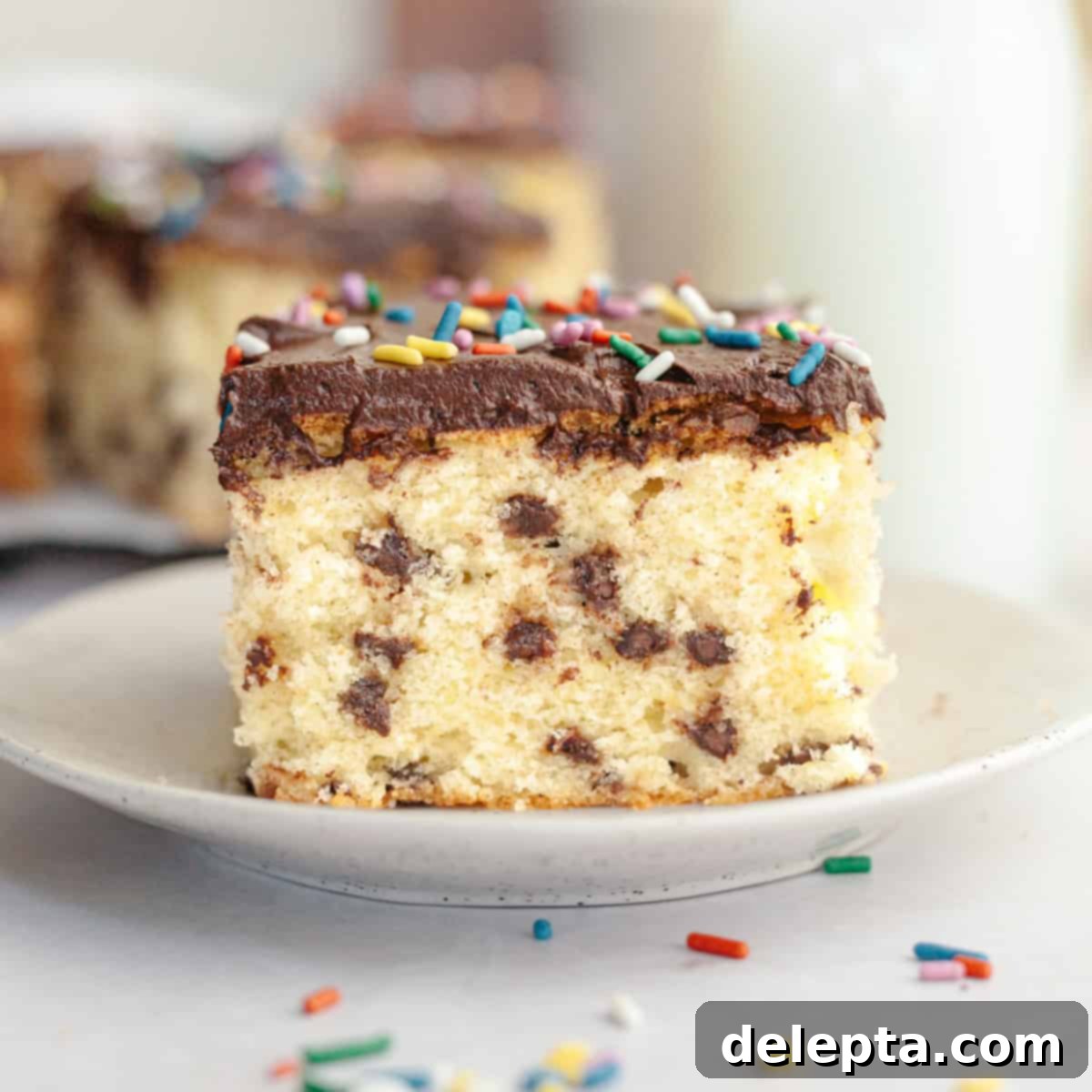 Double Chocolate Chip Sheet Cake 1 featured 21154