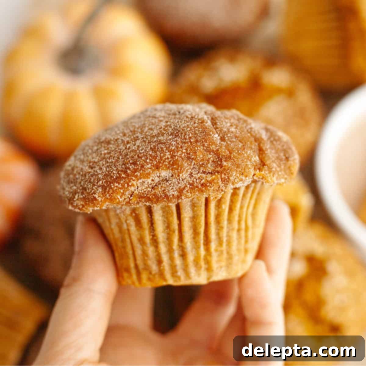 One-Bowl Pumpkin Sour Cream Muffins 1 featured 21308