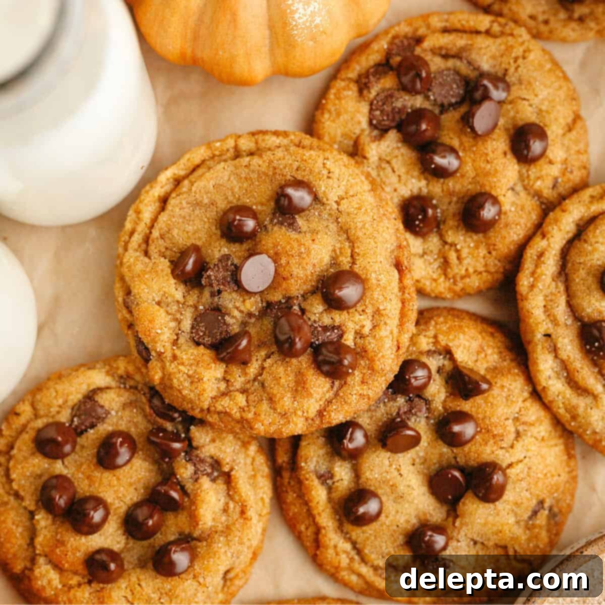 Nutty Brown Butter Pumpkin Chocolate Chip Cookies 1 featured 21725