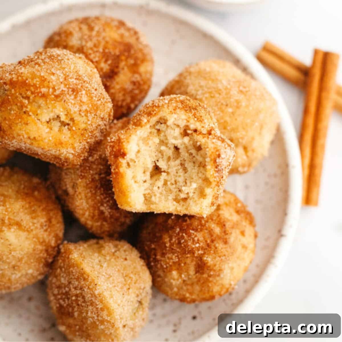 Bite-Sized Cinnamon Bliss 1 featured 21803