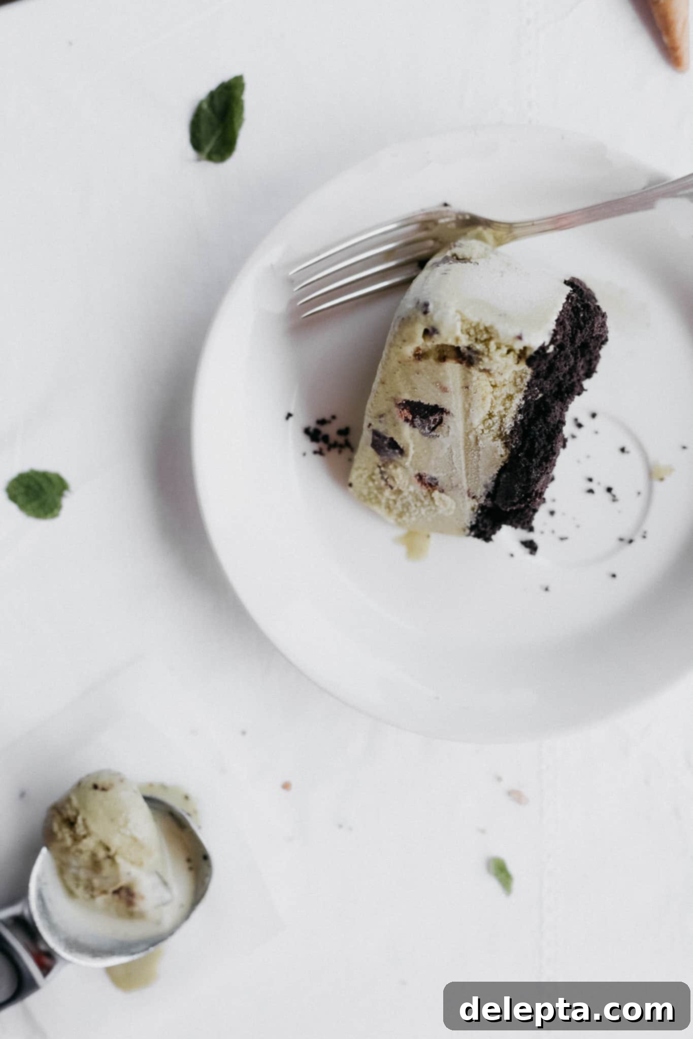 Irresistible Homemade Mint Chocolate Chip Ice Cream Cake 1 featured 266