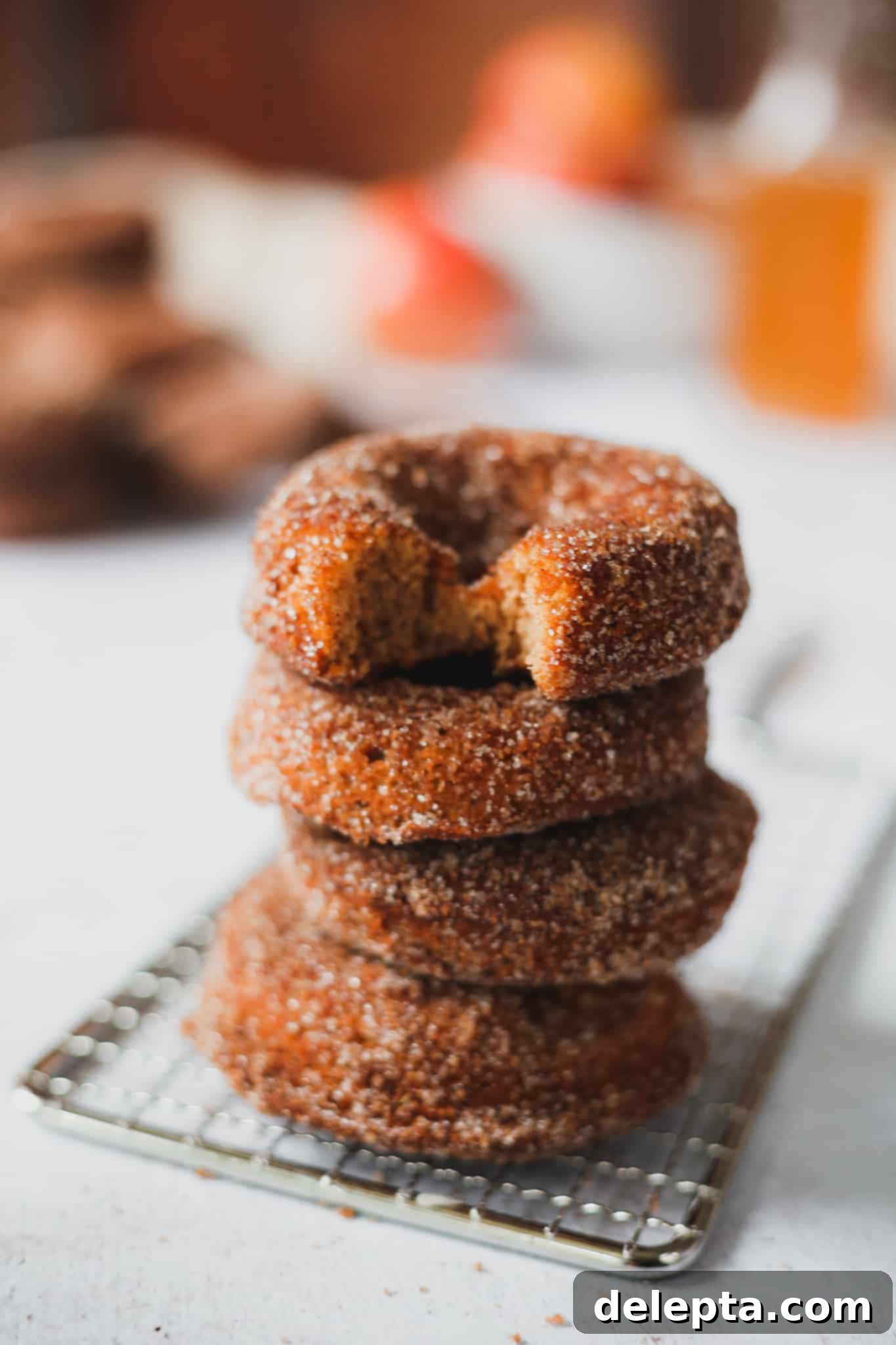 Harvest Apple Cider Donuts, Infused with Warm Apple Pie Spice 1 featured 346