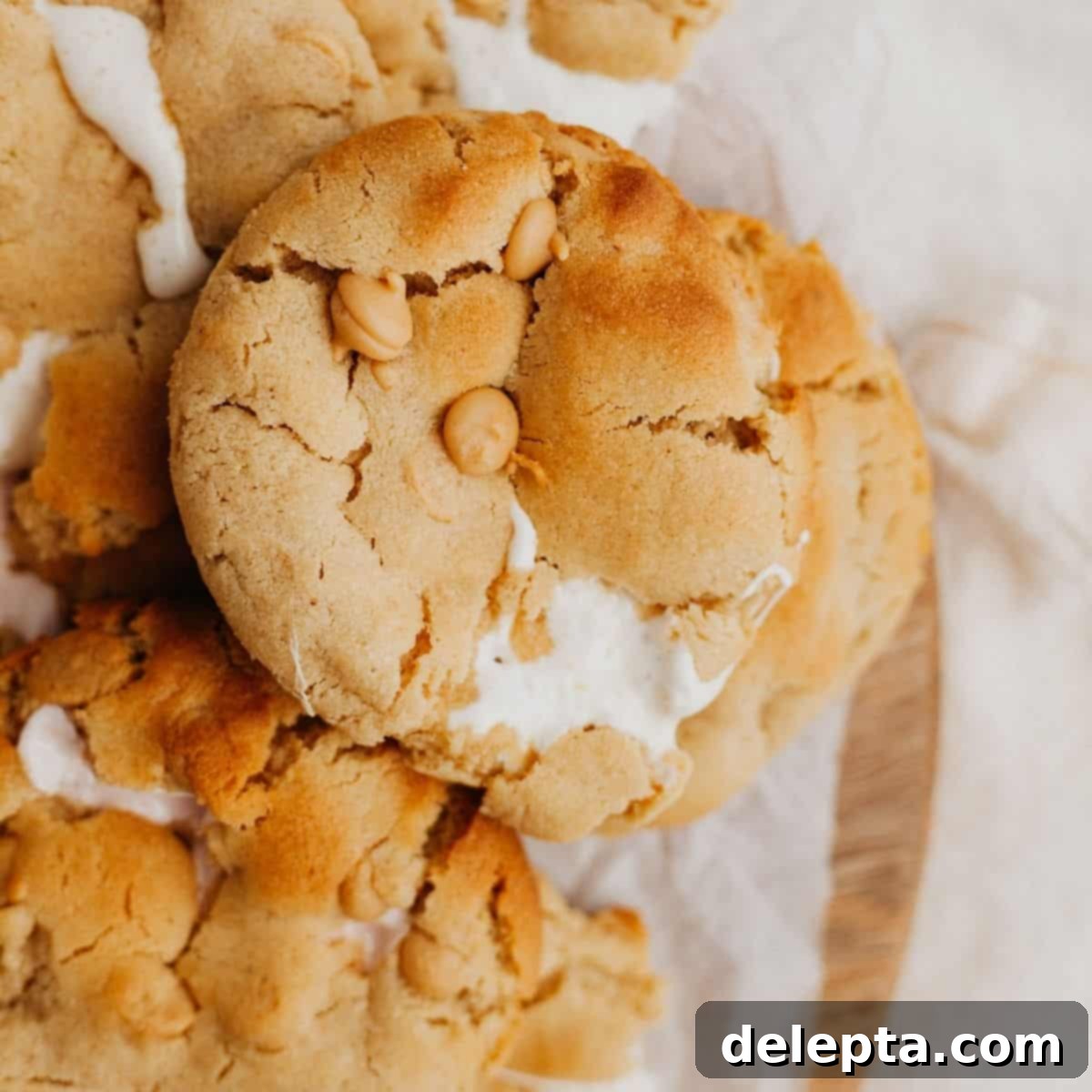 Peanut Butter Mallow Bliss Cookies 1 featured 5725