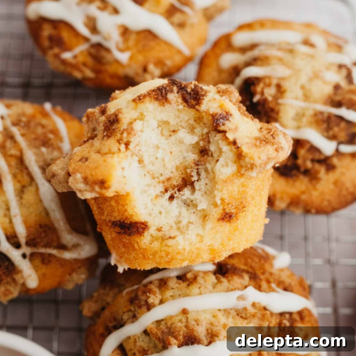 Cinnamon Swirl Delights 1 featured 743