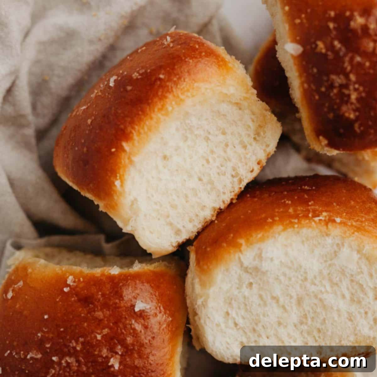 Soft Brioche Dinner Rolls 1 featured 8256
