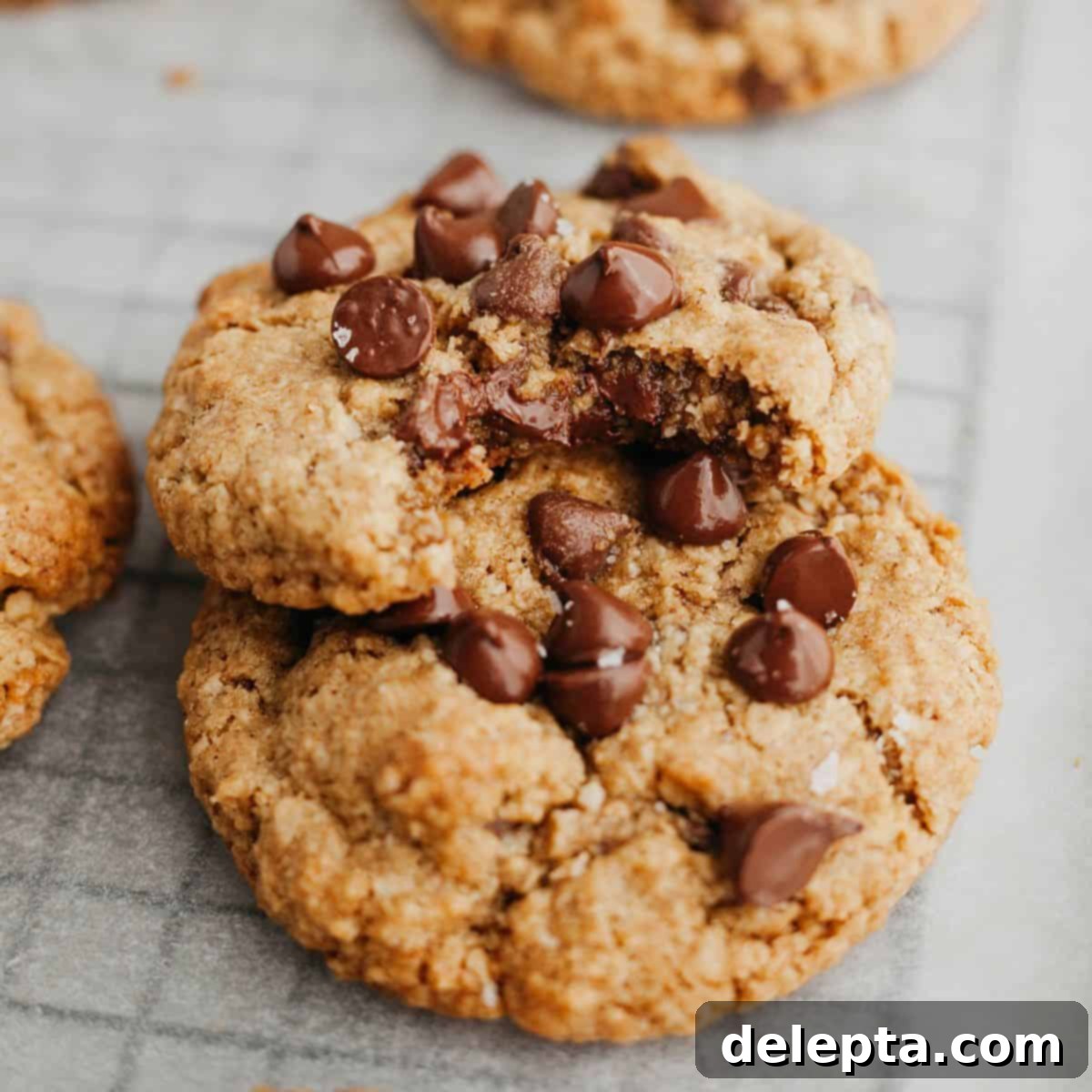 Chewy Oatmeal Chocolate Chip Cookies for Two 1 featured 9341