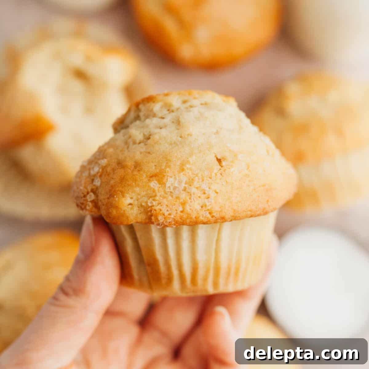 Bakery Style Moist Vanilla Muffins 1 featured 9717