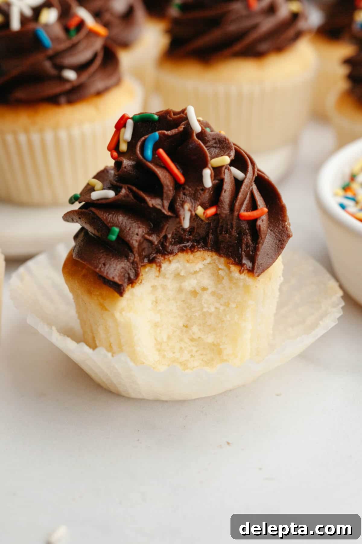 Velvety Vanilla, Chocolate Bliss 11 A delightful pair of vanilla cupcakes topped with smooth chocolate frosting. One has a decorative white birthday candle, and the other features a playful bite taken out of it, showing the soft cake within.
