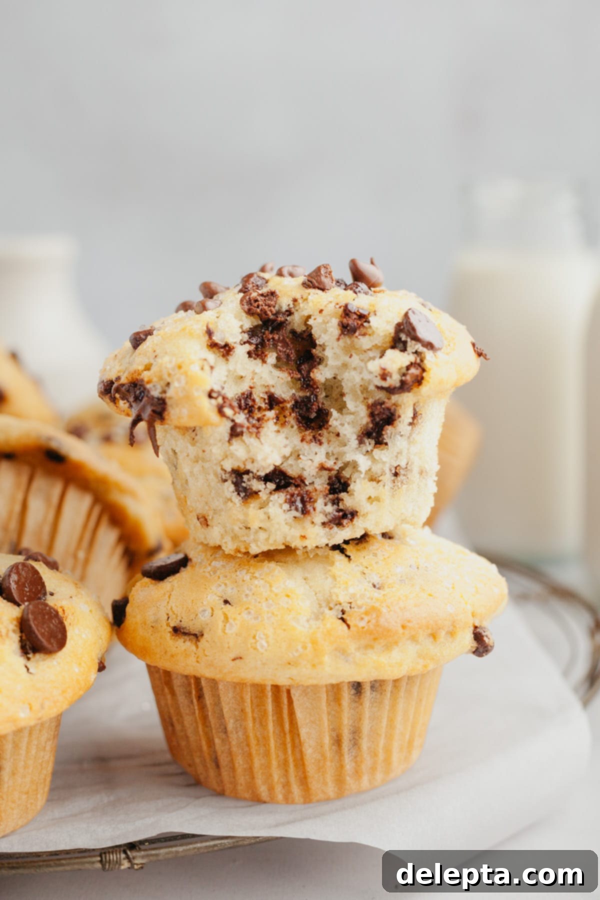 Mile-High Chocolate Chip Muffins 2 A perfectly baked, fluffy chocolate chip muffin with a bite taken out, revealing its soft interior and melted chocolate chips, resting on another muffin.