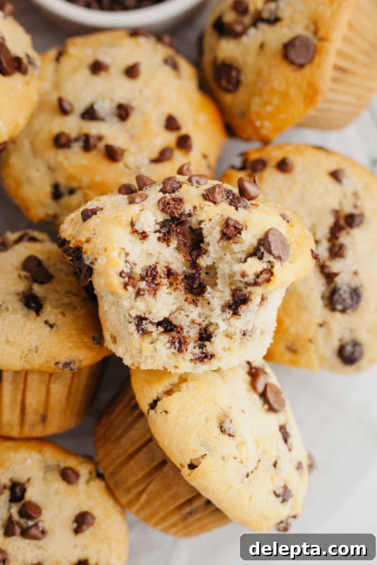 Mile-High Chocolate Chip Muffins 6 A delicious chocolate chip muffin with a bite taken out, revealing its rich, chocolatey interior.