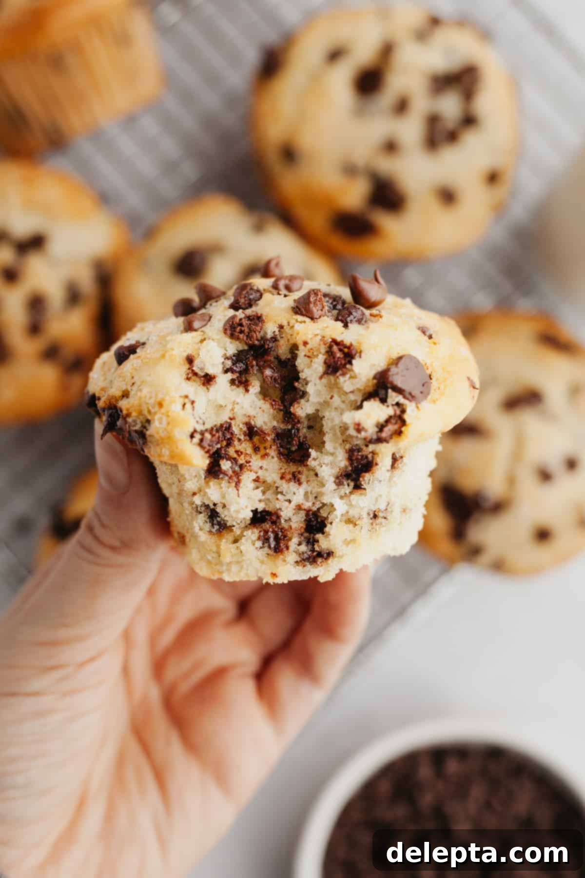 Mile-High Chocolate Chip Muffins 7 A close-up of a delectable chocolate chip muffin with a bite taken out, showcasing its moist, fluffy interior and abundant melted chocolate chips.