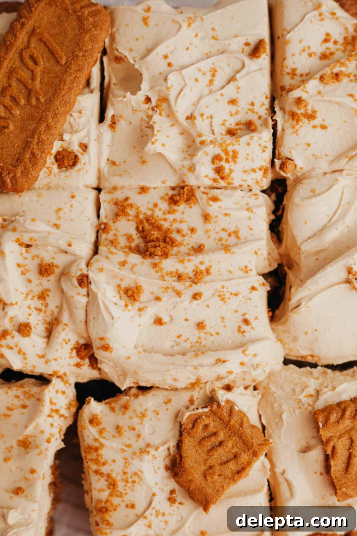 Dreamy Biscoff Buttercream Just 5 Ingredients 2 An overhead shot of a sheet cake covered in beige frosting and topped with Biscoff cookies.
