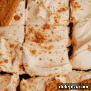 Dreamy Biscoff Buttercream Just 5 Ingredients 6 A close up of Biscoff buttercream, sprinkled with Biscoff cookie crumbs.