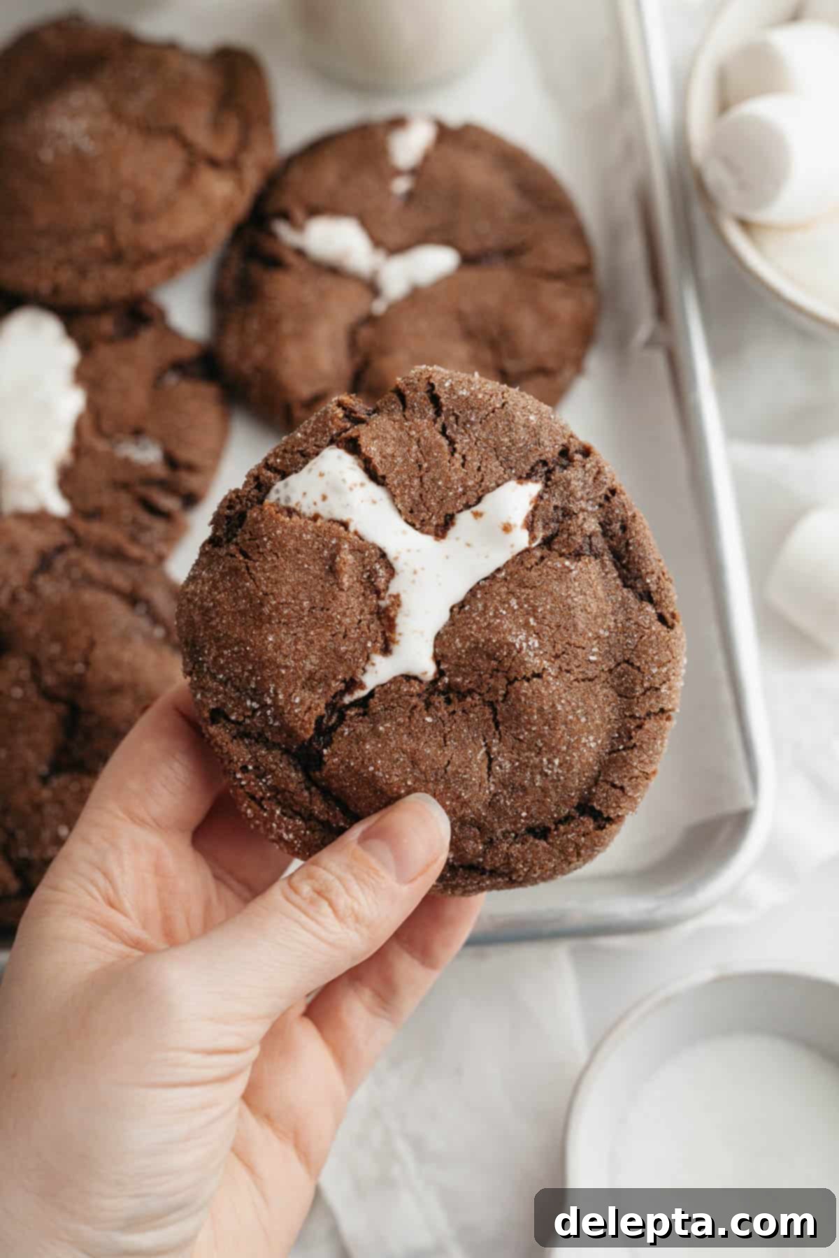 Gooey Chocolate Marshmallow Cookies 2 A hand holding a freshly baked, warm chocolate marshmallow cookie, showcasing its gooey center.
