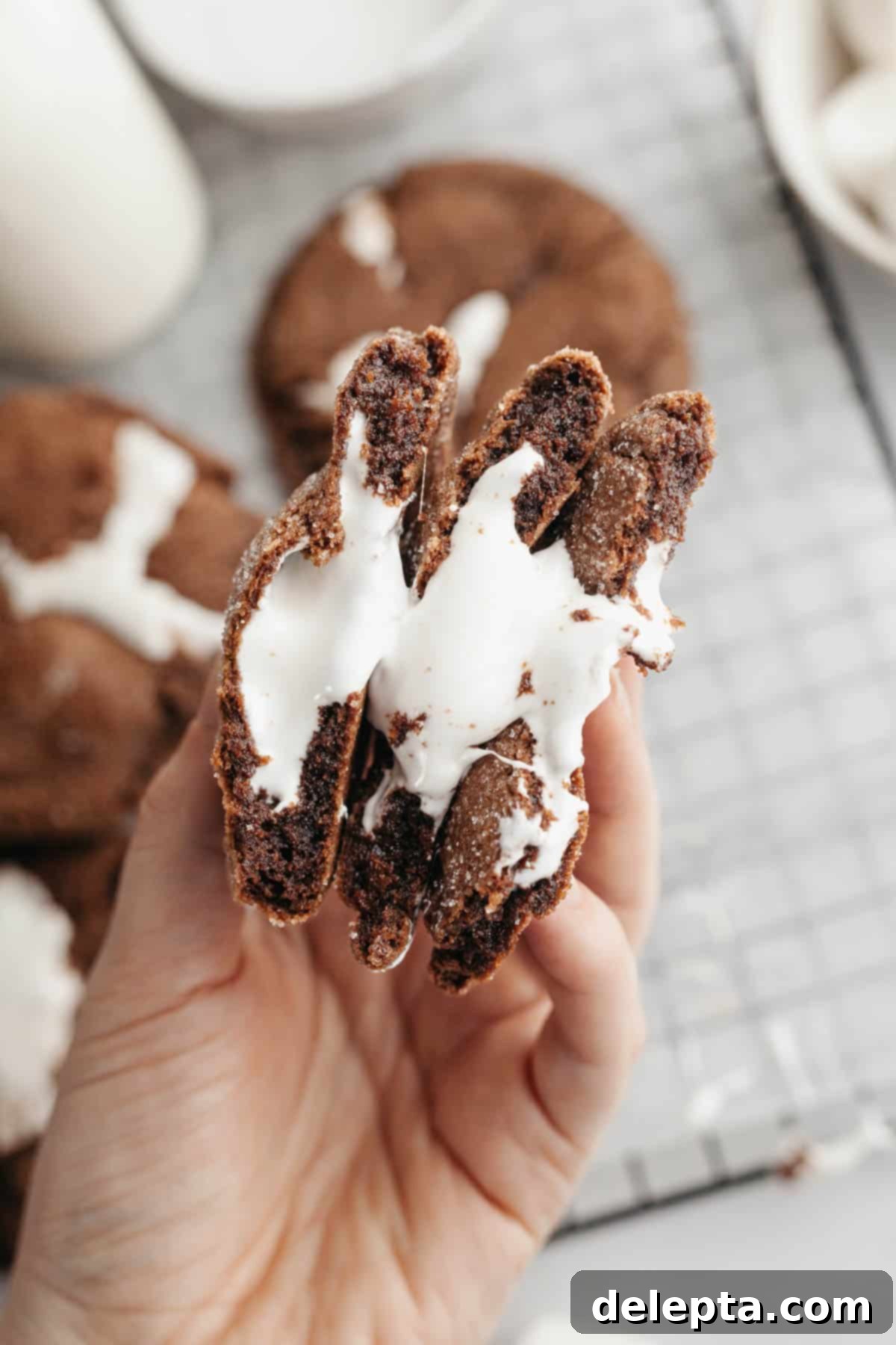 Gooey Chocolate Marshmallow Cookies 10 A hand presenting three perfect chocolate marshmallow cookies, each with a visible marshmallow center.