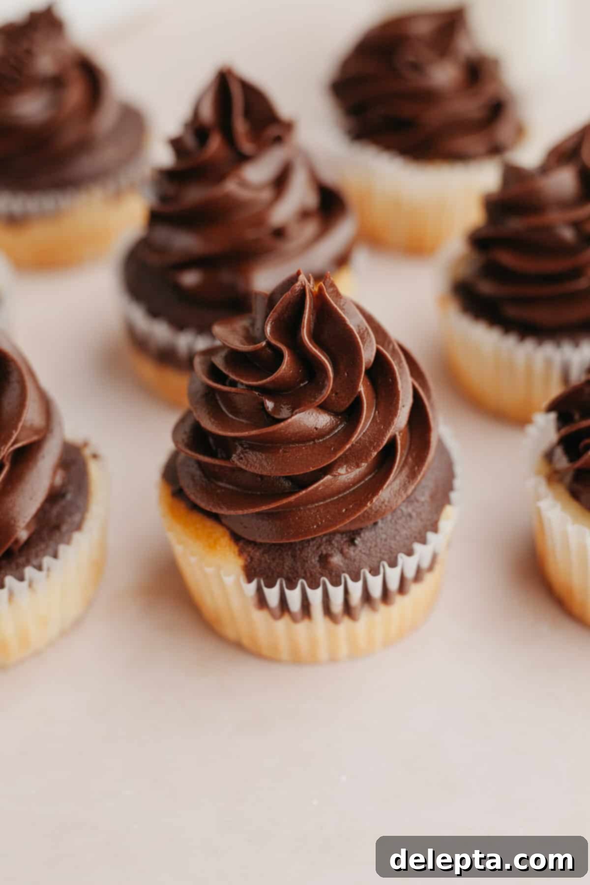 Effortless Whipped Ganache for Bakery-Worthy Cakes 2 A beautifully piped cupcake with rich, dark whipped ganache frosting, showcasing its smooth and glossy texture.