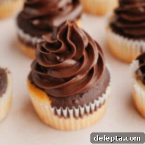 Effortless Whipped Ganache for Bakery-Worthy Cakes 8 Chocolate and vanilla cupcakes with chocolate whipped ganache frosting.