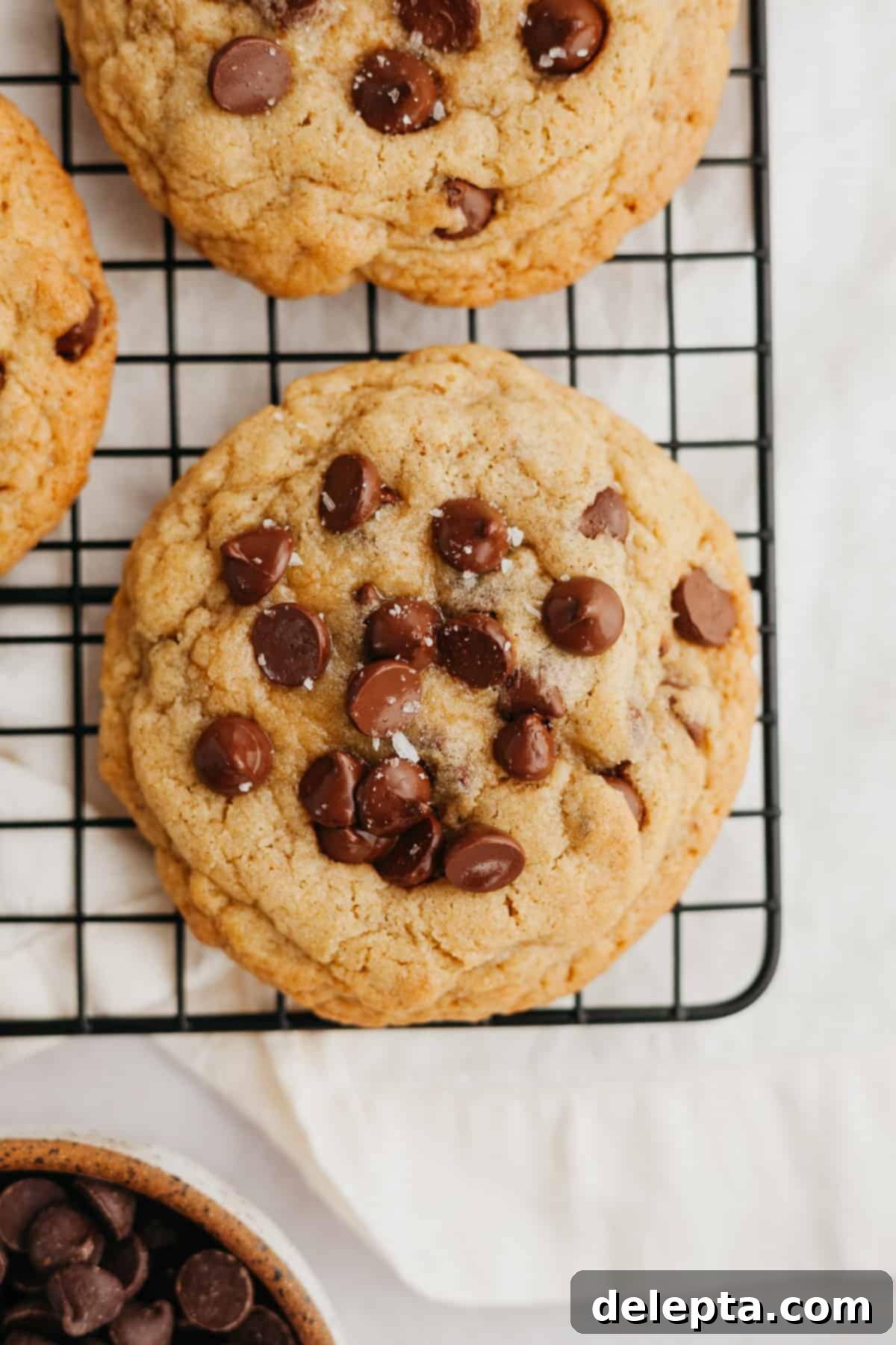 Six Easy Small Batch Chocolate Chip Cookies 6 Chocolate chip cookies on a wire cooling rack.