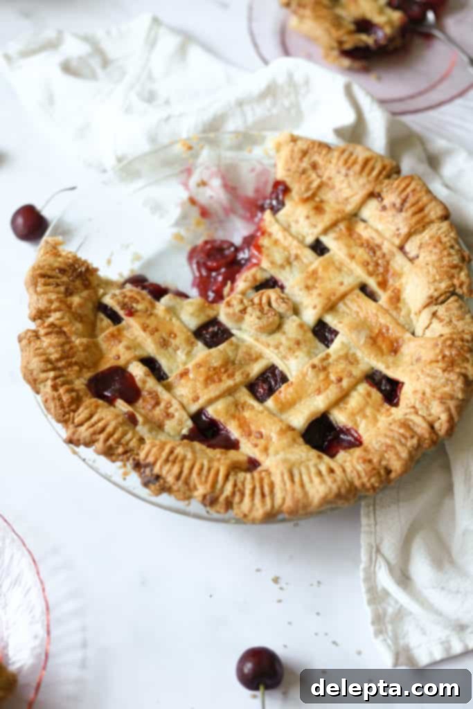 Luscious Homemade Kirsch and Vanilla Cherry Pie 3 Close-up of a cherry pie slice revealing thick, rich cherry filling
