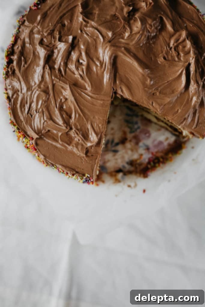 Sunny Swiss Meringue Birthday Bliss 4 Bird's eye view of a yellow cake with chocolate frosting