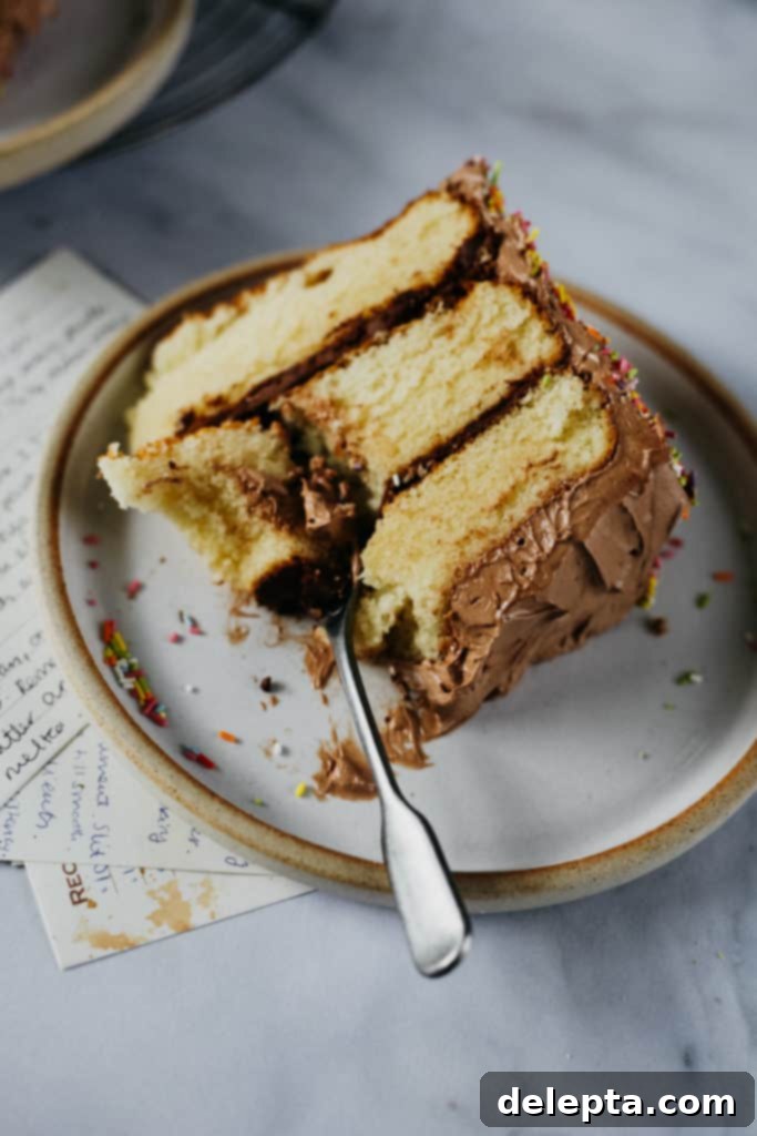 Sunny Swiss Meringue Birthday Bliss 6 Piece of yellow cake with chocolate frosting, one bite taken out of it