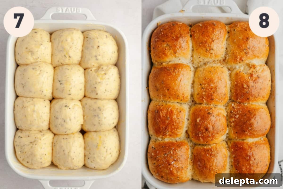 Irresistibly Soft and Fluffy Garlic Dinner Rolls 8 Process photos showing applying egg wash to the rolls before baking, and then brushing the baked rolls with melted garlic herb butter.
