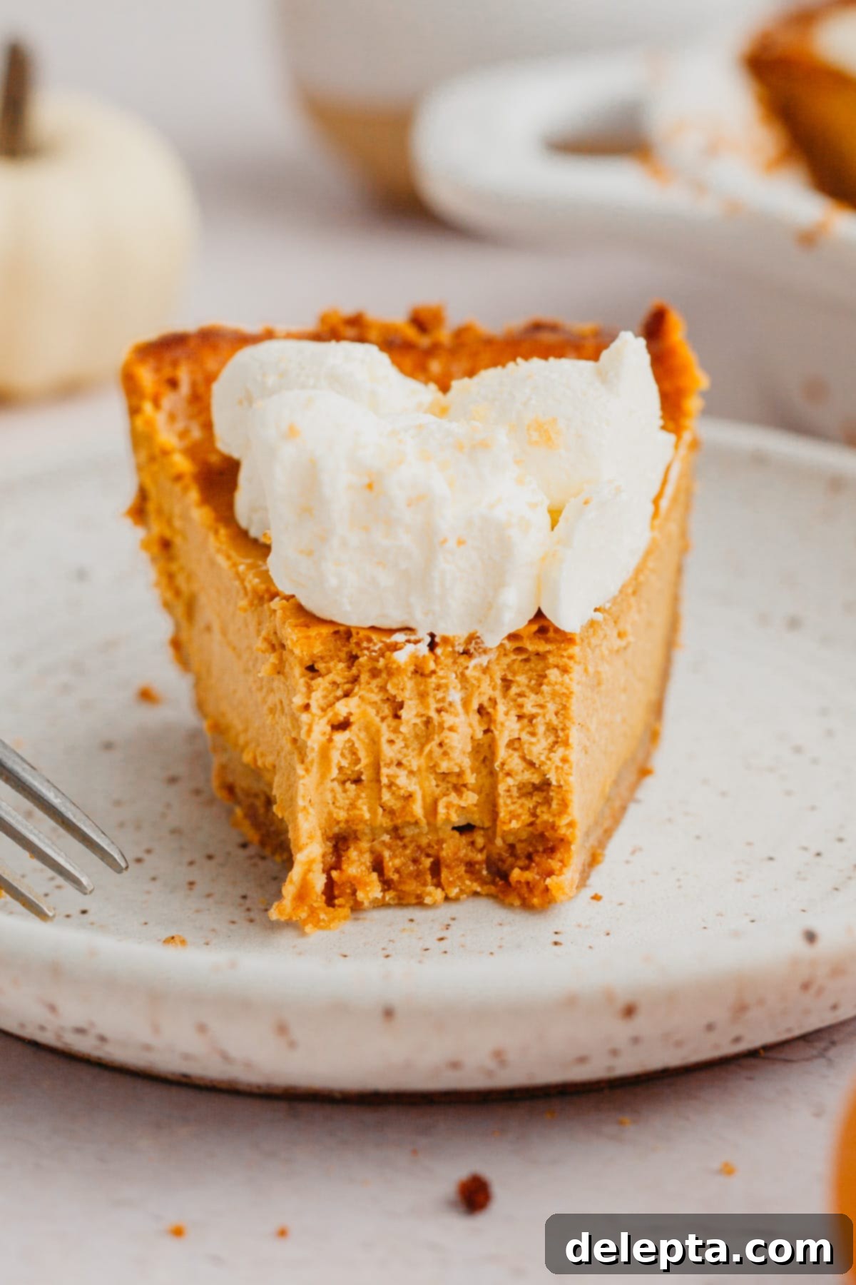 Graham Cracker Crust Pumpkin Pie 9 A slice of pumpkin pie with whipped cream, a bite has been taken out of it.