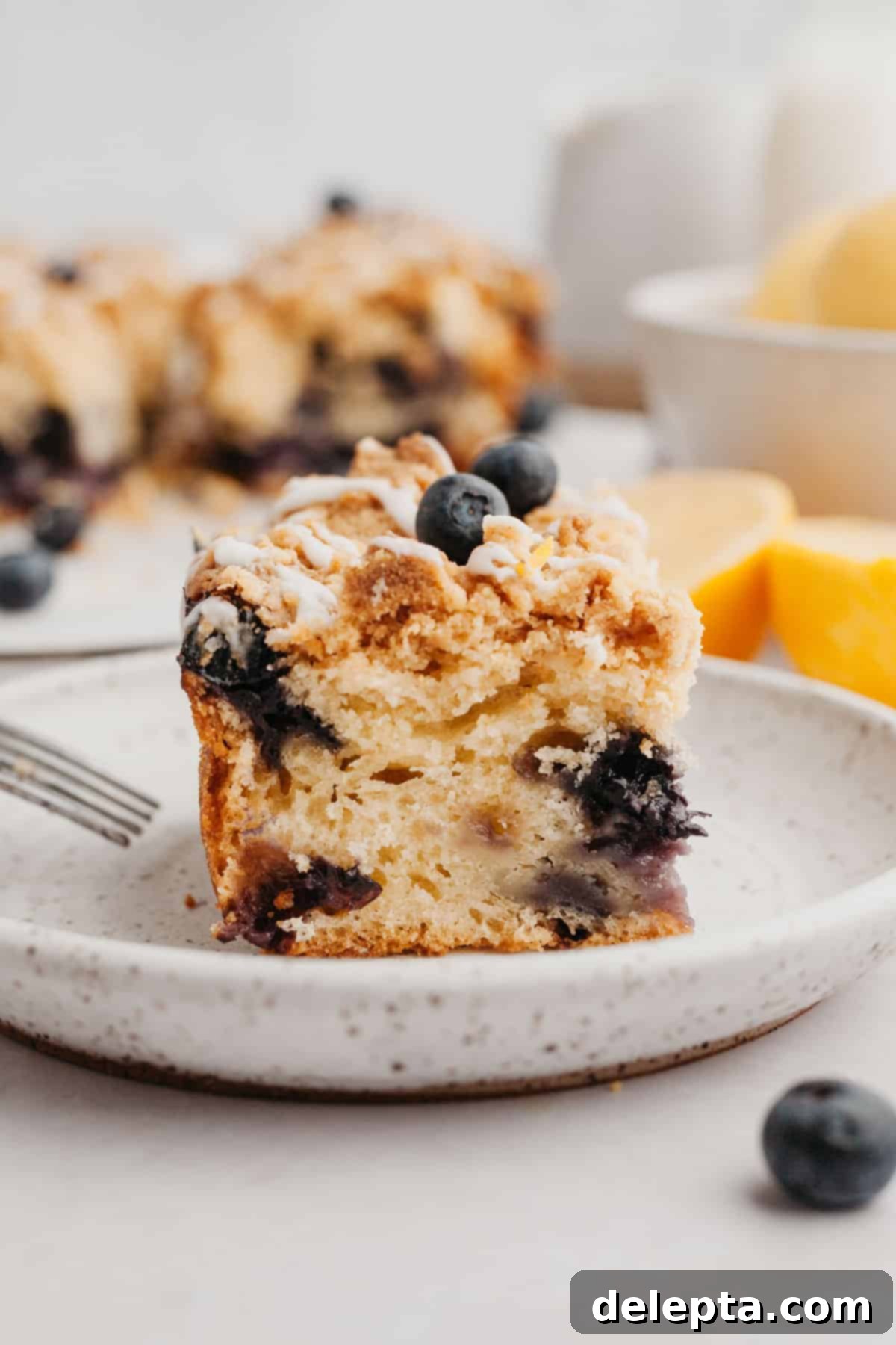 Pratik ve Enfes Yaban Mersinli Limonlu Kahve Keki 11 A high-angle close-up of a single slice of moist lemon blueberry coffee cake, with its golden streusel topping and visible blueberries, presented on a light plate.