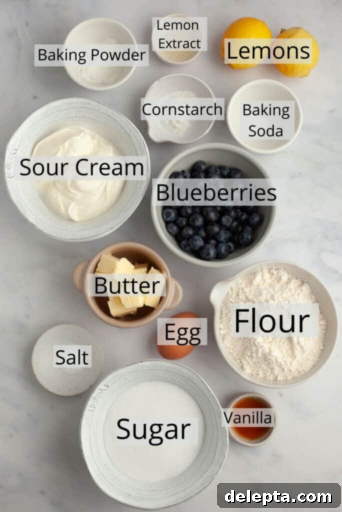 Pratik ve Enfes Yaban Mersinli Limonlu Kahve Keki 3 All the dry and wet ingredients neatly weighed out into small bowls, ready for making blueberry lemon coffee cake.