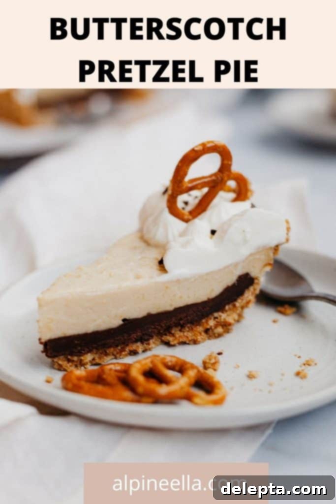 Salty-Sweet Chocolate Butterscotch Pretzel Pie 4 img 1453 3