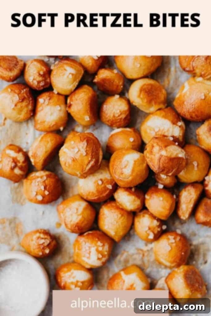 Irresistible Pretzel Bites and Cheesy Dip 7 Pin for Soft Pretzel Bites and Beer Cheese Sauce