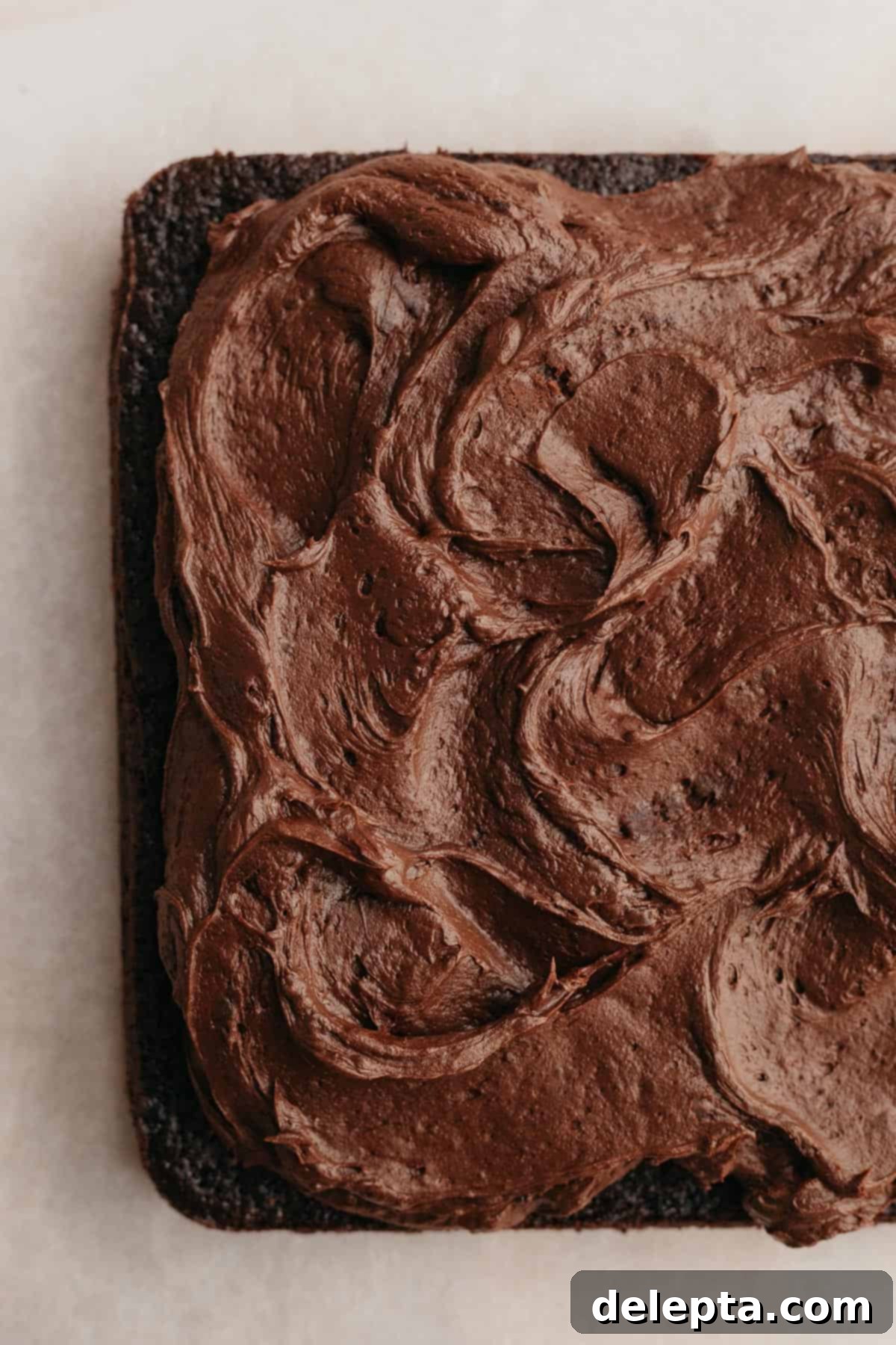 Fudgy Chocolate Frosting The Sour Cream Secret 2 A beautifully frosted square chocolate cake with rich, fudgy chocolate sour cream frosting, ready to be served.