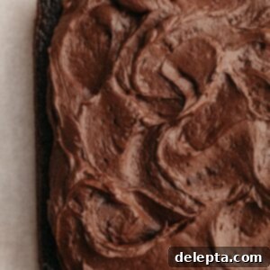Fudgy Chocolate Frosting The Sour Cream Secret 7 A square chocolate cake with rich fudgy chocolate sour cream frosting, ready for serving.
