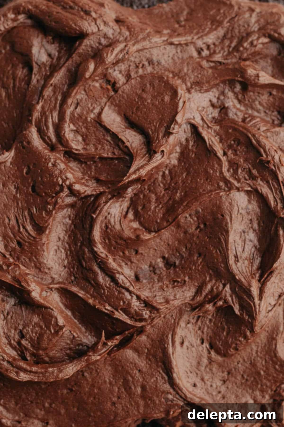 Fudgy Chocolate Frosting The Sour Cream Secret 6 A close-up shot of the finished, perfectly smooth and fudgy chocolate frosting.