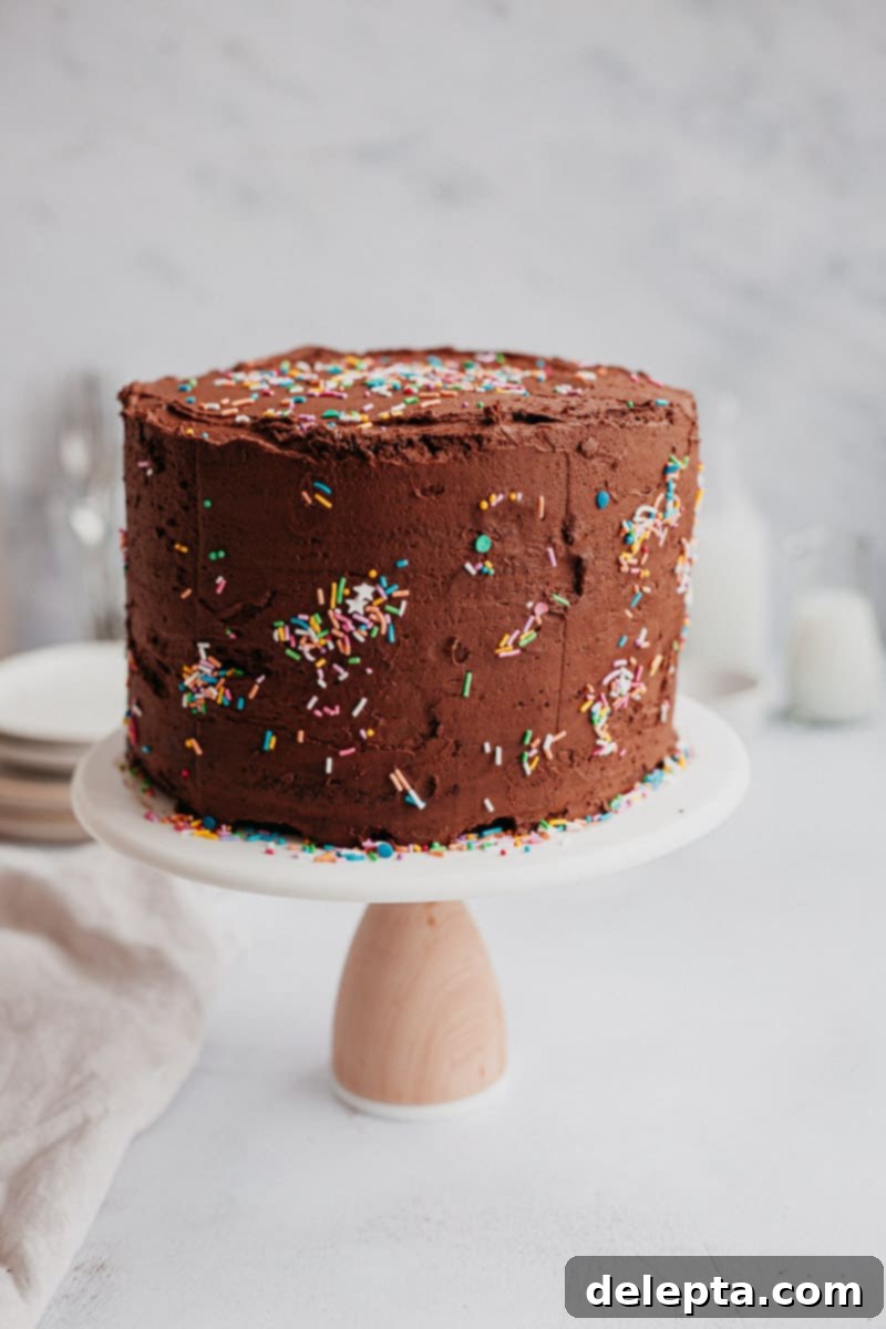 Chocolate Brownie Cookie Dough Fudge Cake 12 A chocolate frosted cake with sprinkles on a cake stand