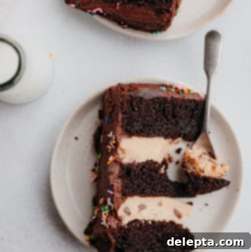 Chocolate Brownie Cookie Dough Fudge Cake 14 overhead shot of two slices of brownie cake on small plates with a small milk bottle